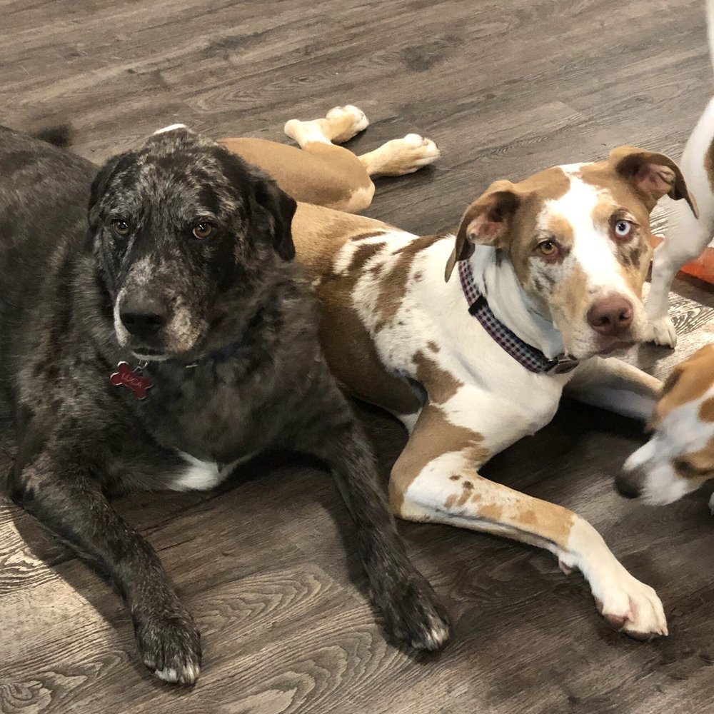 Kali and Luca Kali and Luca