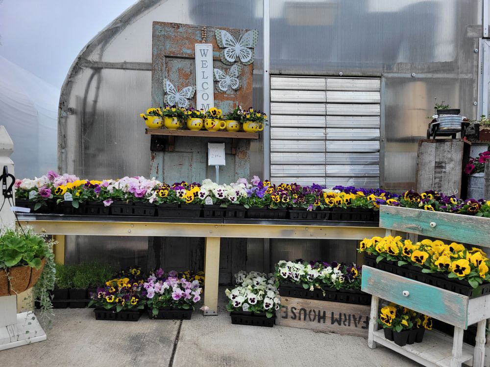 COCALICO CREEK GREENHOUSE Updated June 2024 50 W Mohler Church Rd, Ephrata, Pennsylvania