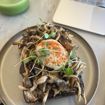 Scorpio Coffee - Mushroom toast - Coffee & Tea Near Me - Sacramento, California Scorpio Coffee - Mushroom toast - Coffee & Tea Near Me - Sacramento, California