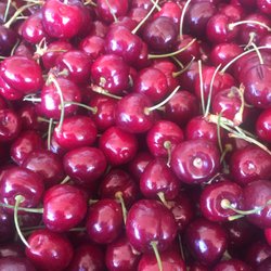 Cindy's Produce & Groceries