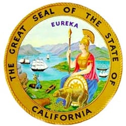 Notary Susie