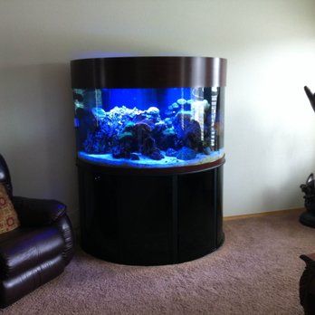Happy Tanks - Aquarium Services Near Me Happy Tanks - Aquarium Services Near Me