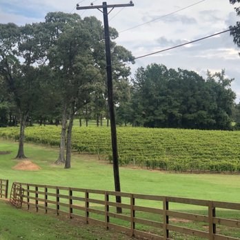 Landry Vineyards - Part of the vineyard - Wineries Near Me - West Monroe, Louisiana