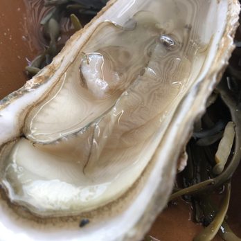 Au Pied d'Cheval - Restaurants Near Me - Cancale, 35