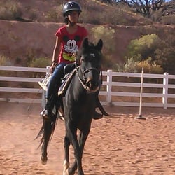 Ask The Horse Riding & Training
