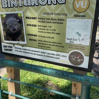 Wild Animal Safari - Good signage throughout park - Zoos Near Me - Strafford, Missouri Wild Animal Safari - Good signage throughout park - Zoos Near Me - Strafford, Missouri