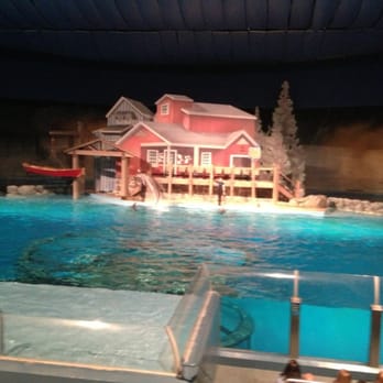 Indianapolis Zoo - Dolphin show. - Zoos Near Me - Indianapolis, Indiana Indianapolis Zoo - Dolphin show. - Zoos Near Me - Indianapolis, Indiana