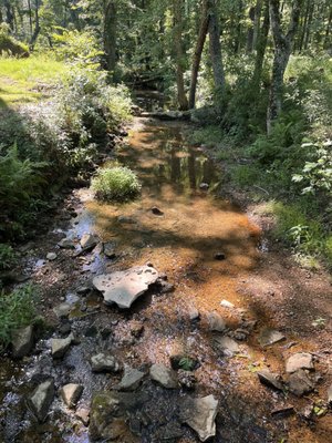 Shiloh National Military Park by null