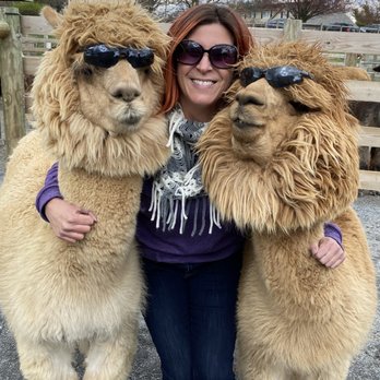 Eastland Alpacas - Ranches Near Me - Mount Joy, Pennsylvania Eastland Alpacas - Ranches Near Me - Mount Joy, Pennsylvania