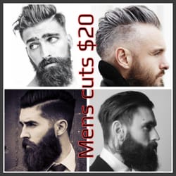 TRIBE SALON - $20 men's cuts!