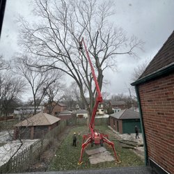 Frank Jastrabek's Tree Service Experts