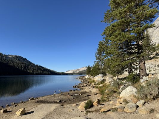 Tenaya Lake by null