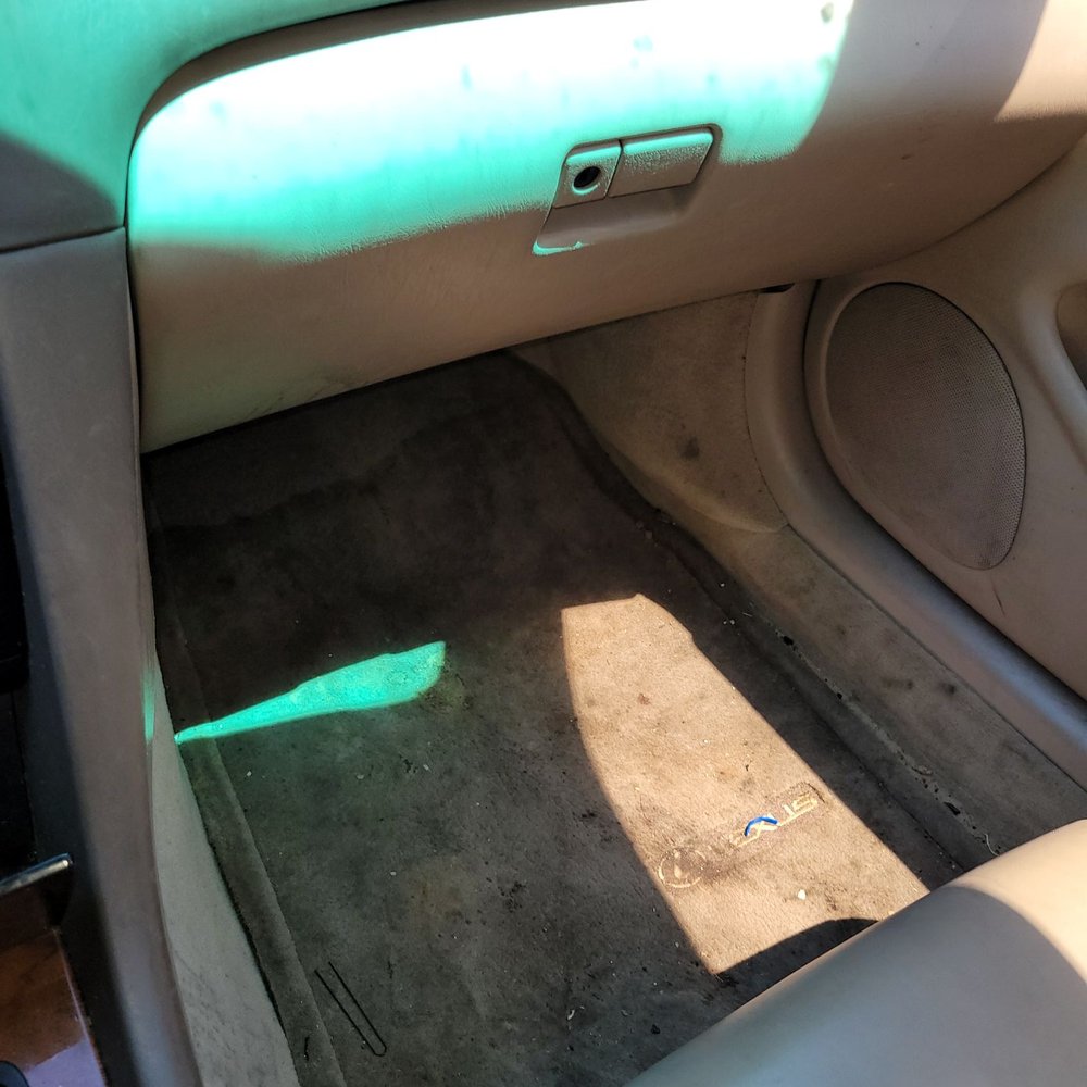 Burbank Auto Detail - Before- Straight up VILE Y'ALL! - Auto Detailing Near Me - Burbank, California