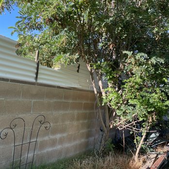 Immanuel’s tree service - This is the before photo - Tree Services Near Me