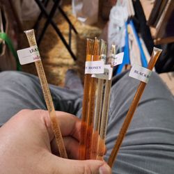 Buzzed Honeys - Honey sticks sampler pack