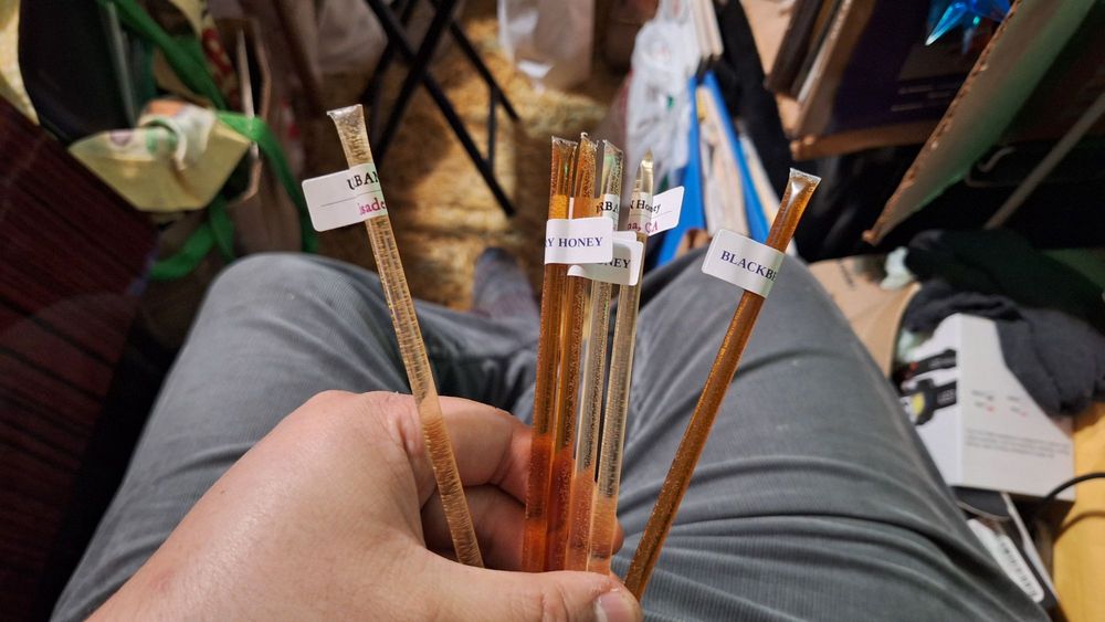 Buzzed Honeys - beekeeping in Altadena, CA