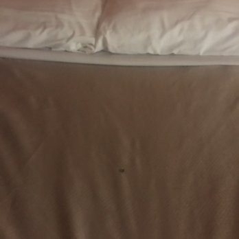 Motel 6 - Hotels Near Me - Weed, California Motel 6 - Hotels Near Me - Weed, California