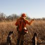 Prairie Creek Gundogs
