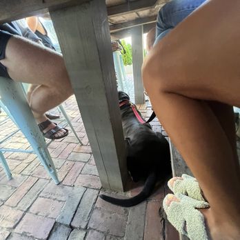 Aalia’s Coffee - Dog Friendly Patio - Coffee & Tea Near Me - Oak Bluffs, Massachusetts Aalia’s Coffee - Dog Friendly Patio - Coffee & Tea Near Me - Oak Bluffs, Massachusetts