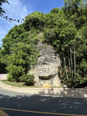 Cara del Indio by null