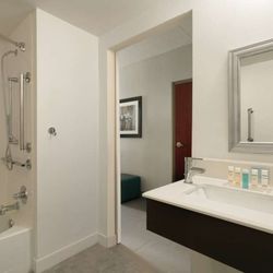 Hampton Inn Reading/Wyomissing - Guest room bath