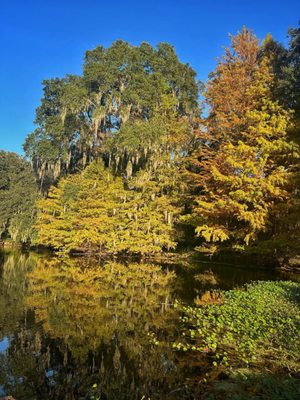 Charles Towne Landing State Historic Site by null