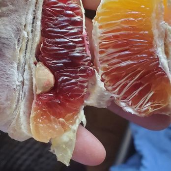 Greenfield Citrus Nursery - Two types of blood orange, the Sanguinelli and Tarocco. - Nurseries & Gardening Near Me - Mesa, Arizona