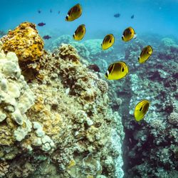 Teralani Sailing Adventures