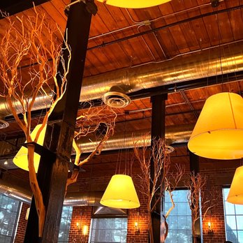 O-Ku - Decor - Sushi Bars Near Me - Charlotte, North Carolina