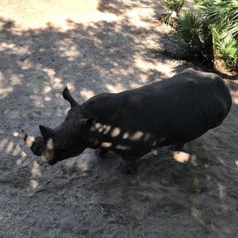Brevard Zoo - Zoos Near Me - Melbourne, Florida