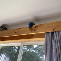 Bunk House - Bed duck!