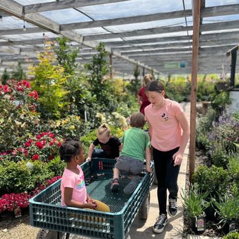 Shade Home and Garden - Nurseries & Gardening Near Me - Orem, Utah