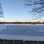 Photo of Vilas Park