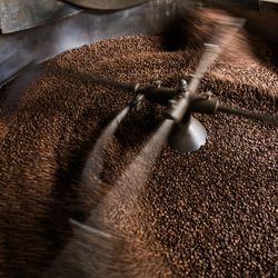 Kona Coffee Purveyors | Artisan Coffee Roasters