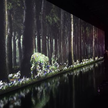 Arte Museum - Art Museums Near Me - New York, New York