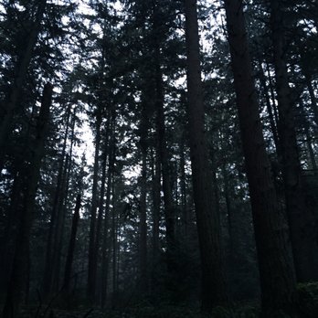 Hamlin Park - Parks Near Me - Seattle, Washington Hamlin Park - Parks Near Me - Seattle, Washington