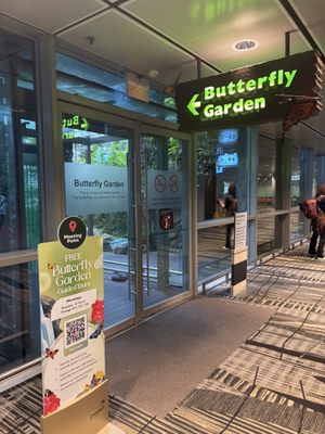 Butterfly Garden by null