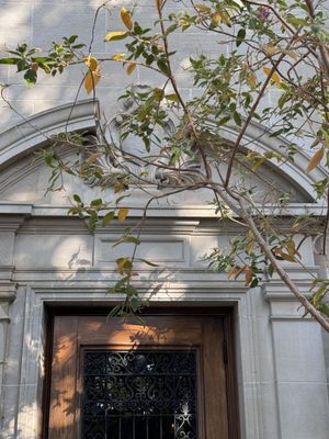 Greystone Mansion & Gardens: The Doheny Estate by null