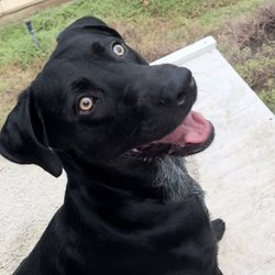 Harry Griffen Park - Lucky loves the park