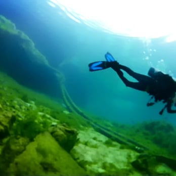 Vortex Spring Adventures - Day 2, less gunk in the water.  (blurry) screen grab from (blurry) video - Resorts Near Me - Ponce De Leon, Florida