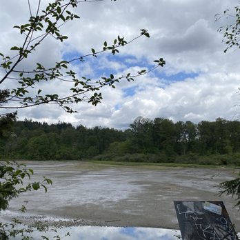 Rocky Point Park - Mudflats exposed with low tide - Parks Near Me - Port Moody, British Columbia Rocky Point Park - Mudflats exposed with low tide - Parks Near Me - Port Moody, British Columbia