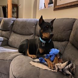Kona Kona