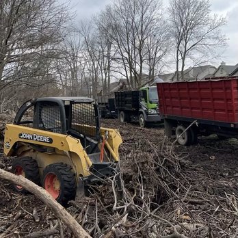 All Points Tree Service - Tree Services Near Me - Indianapolis, Indiana All Points Tree Service - Tree Services Near Me - Indianapolis, Indiana