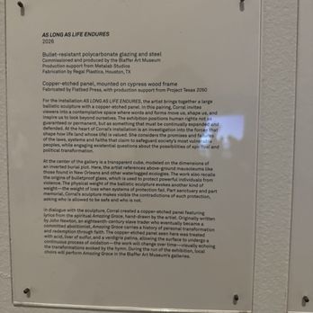 Blaffer Art Museum - Museum Placard - Art Museums Near Me - Houston, Texas