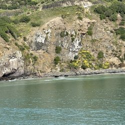 Taiaroa Head Lighthouse