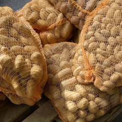 Rheinischer Bauernmarkt - Kartoffeln