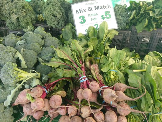 Galleria @ Tyler Farmers Market by null