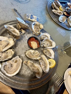 Smuggler's Cove by null