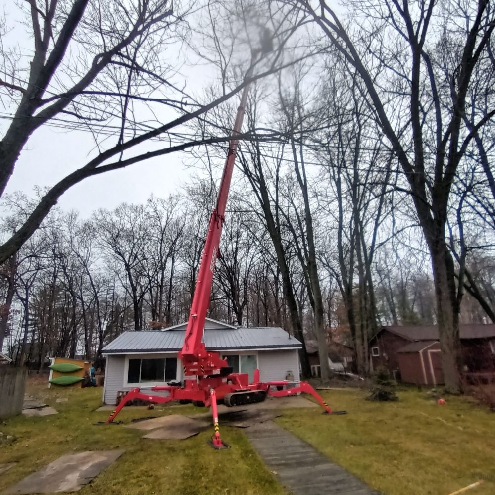 All American Home & Business - tree service in Middleville, MI