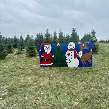 Moore's Christmas Tree Farm - Christmas Trees Near Me - Hartville, Ohio Moore's Christmas Tree Farm - Christmas Trees Near Me - Hartville, Ohio